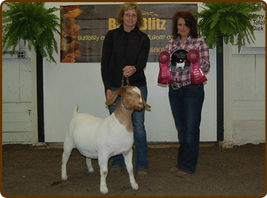 Spice at Barn Blitz Reserve Overall Percentage